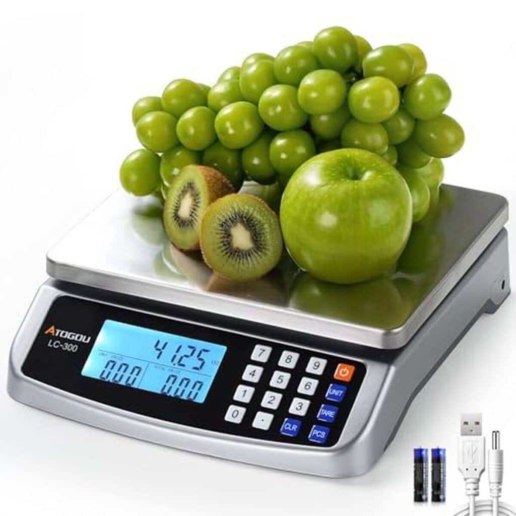 Test balance LC300 : précision inoxydable pour la cuisine et l'industrie
